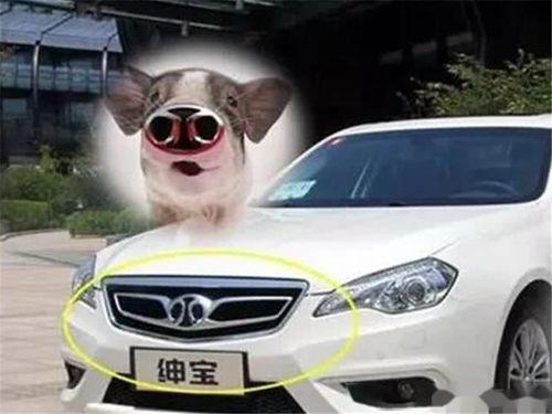 国产最丑的老车子视频,那些年我们追过的“丑车”